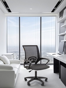 Офисное кресло CHAIRMAN 696 LT N, ткань/сетка, черный